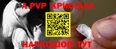 крисы Будённовск