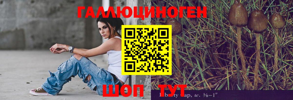 где найти наркотики  Вход с VPN  Кострома  Псилоцибиновые грибы мицелий 