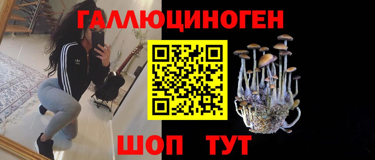 Галлюциногенные грибы Psilocybine cubensis Кострома